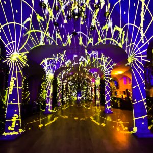 Can See The Framework