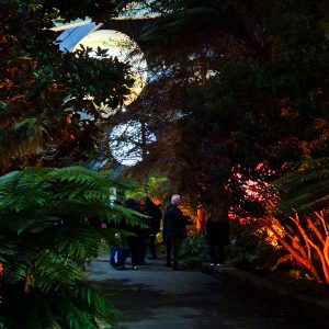 What’s That Floating In The Sky