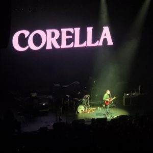 Corella Spotlight