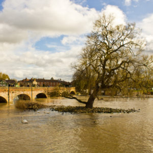 River Scene