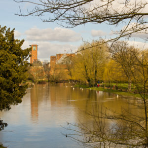 Soothing River View